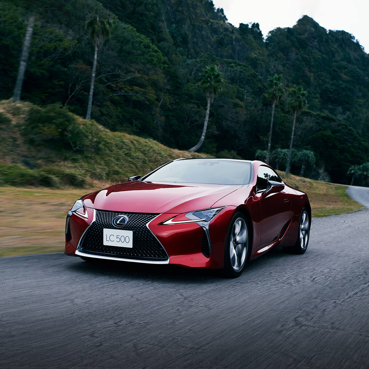 Lexus Singapore | Luxury & Hybrid Cars Dealership | Experience Amazing